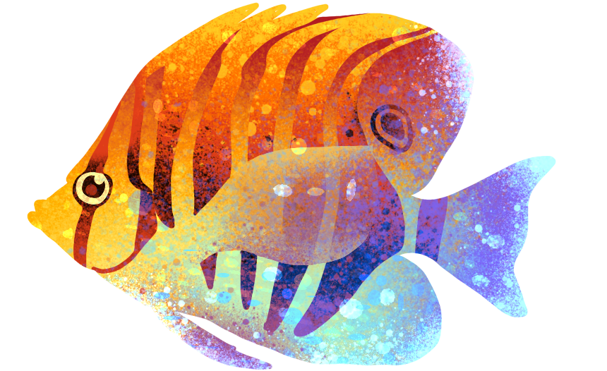 fish